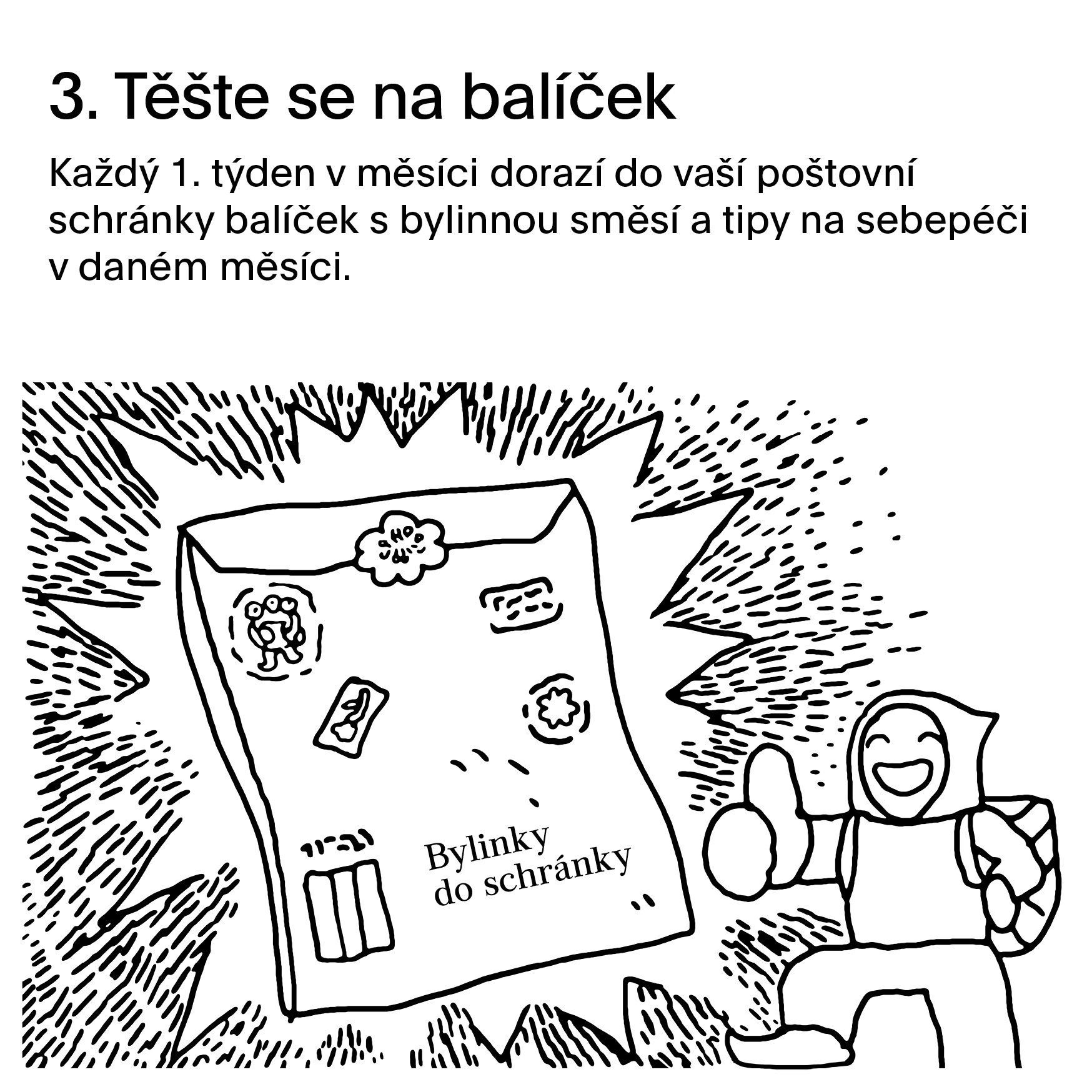 Bylinky do schránky 3